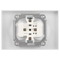 Розетка Intro Accent 6-204-06 двойная 2х2P 16А-250В IP20 СУ AL/CU перламутр