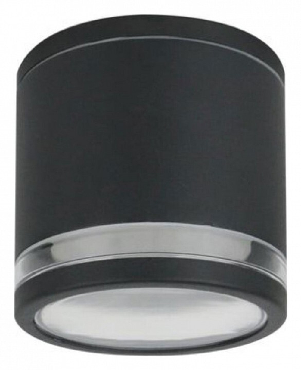 Накладной светильник Arte Lamp Nunki A1910PF-1BK