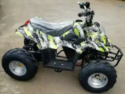 Электроквадроцикл Green Camel Гоби K50 (36V 800W R7 Цепной привод)