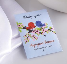 Аромасаше Only you морозная вишня, вес 7 г, размер 7*10.5 см