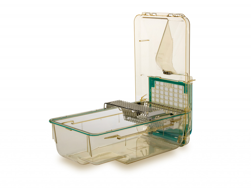 Клетка Emerald