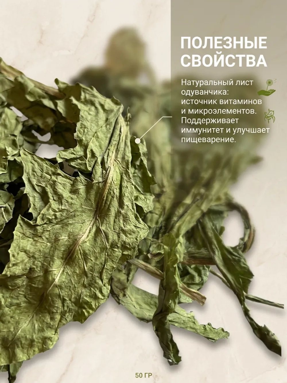 Сушеный лист одуванчика