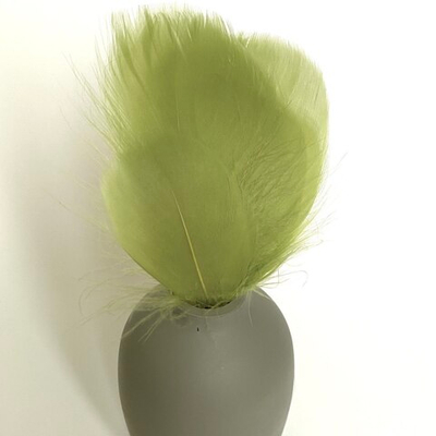 Гусиные перья 5-13 см шартрез  20шт.