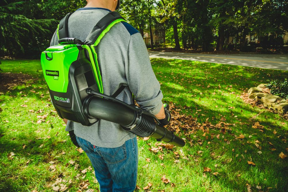 Аккумуляторный ранцевый воздуходув Greenworks GD60BPB,2402307, 60v, без АКБ и ЗУ