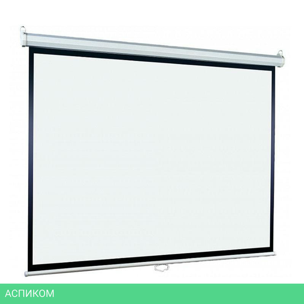 Проекционный экран Lumien Eco Picture (LEP-100119)