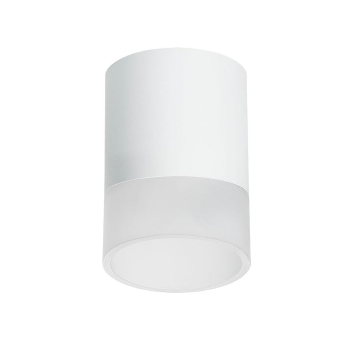 Комплект с потолочным светильником Lightstar Rullo (213486+202481) R348681