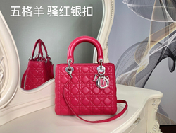 Christian Dior Lady Dior 24 cm