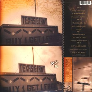 Dixie Chicks / Home (2LP)