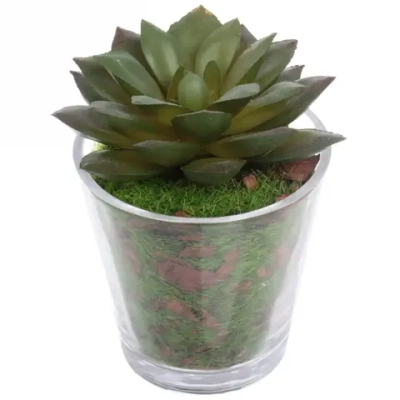 Цветок искусственный «Суккулент» 6*9см в стеклянном горшке ZPY-07