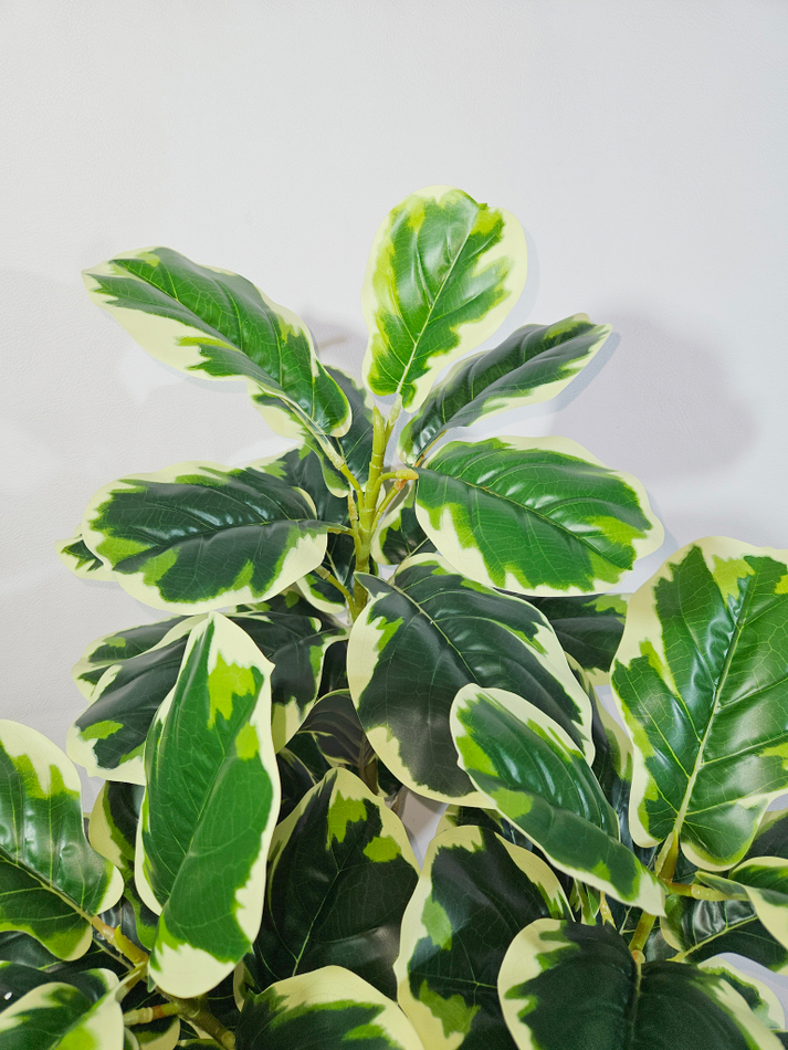 Искусственный фикус Лирата пестрый в кашпо