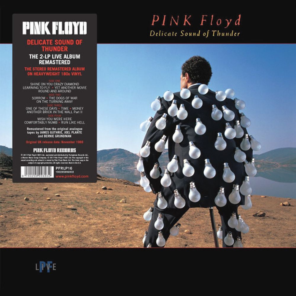 Pink Floyd. Delicate Sound Of Thunder (2 LP) Пинк Флойд