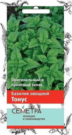 Базилик