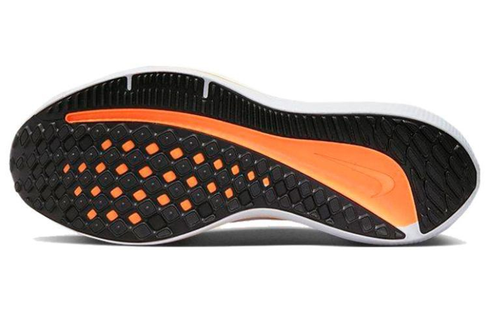 Кроссовки Nike Air Winflo 10