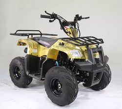 Квадроцикл MOTOLAND (МОТОЛЕНД) 110 RIDER