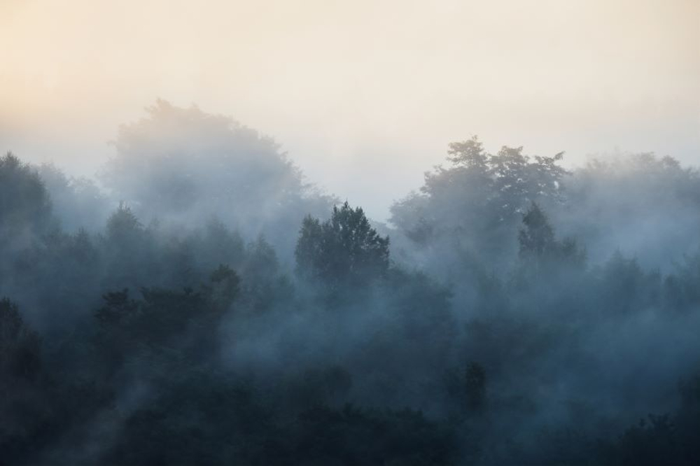 Фреска Applico, коллекция Natura