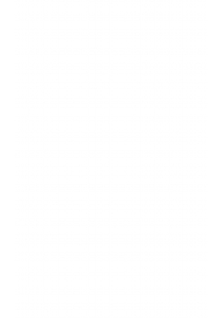 The tale of the two brothers, a fairy tale of ancient Egypt; the D'orbiney Papyrus in Hieratic Characters in the British Museum; the Hieratic Text, the Hieroglyphic Transcription | Charles Edward Moldenke