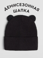 Шапка детская с ушками осенняя