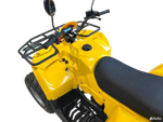 Квадроцикл IRBIS ATV250 2024