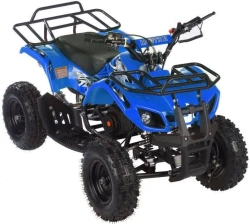 Квадроцикл MOTAX ATV Mini Grizlik X-16 (э/с)