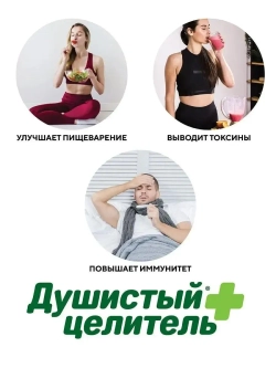 Чага чай с мятой 200 грамм