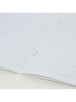 Тетрадь 12 л. BRAUBERG КЛАССИКА, частая косая линия, зеленая