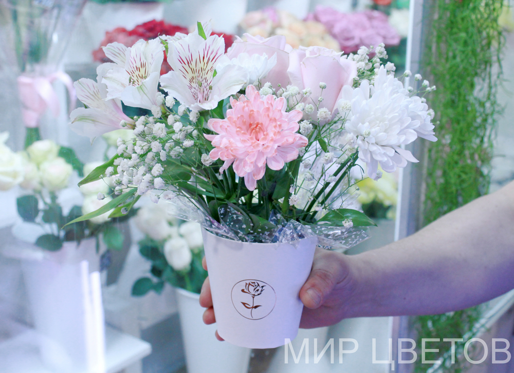 Нежное утро