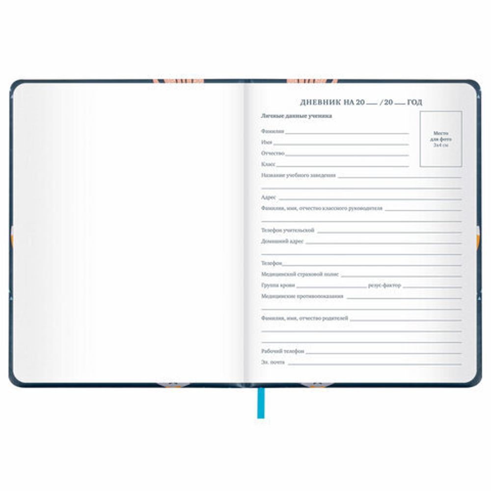 Дневник 1-11 класс 48 л., кожзам (твердая с поролоном), печать, наклейки, BRAUBERG, "Котики", 106946