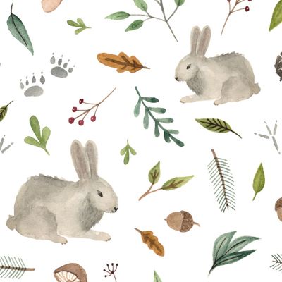 Зайчики в лесу