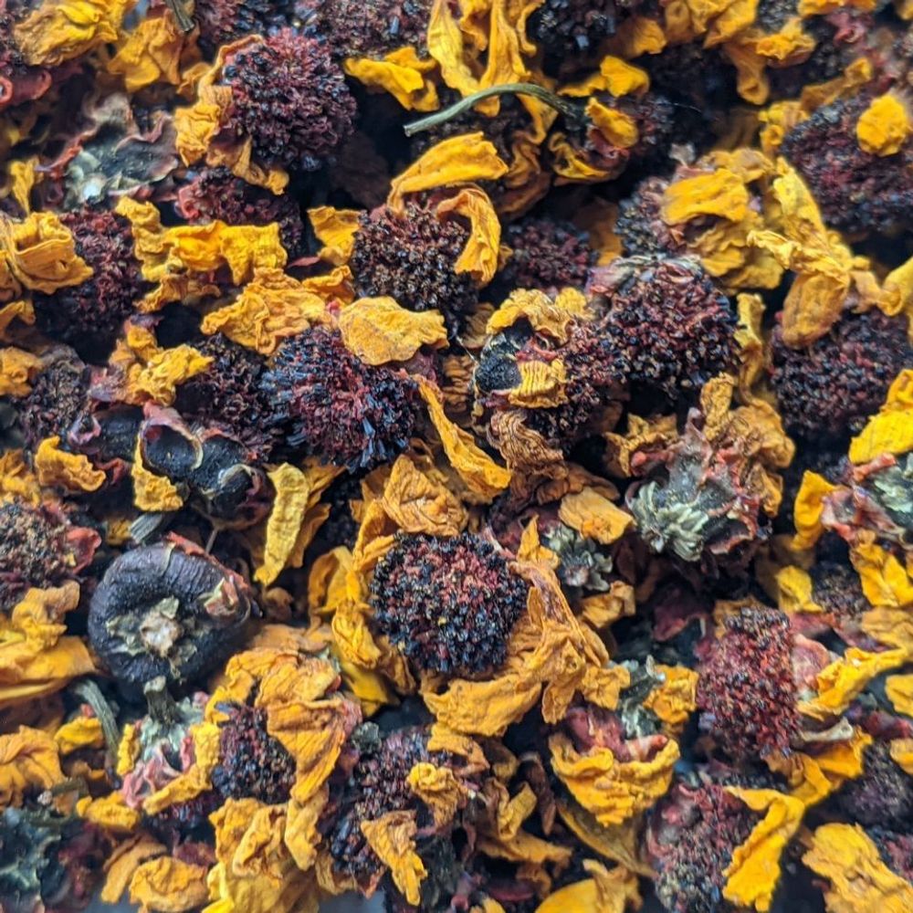 Снежная Хризантема или Тибетская Ромашка (Кунь Лунь)