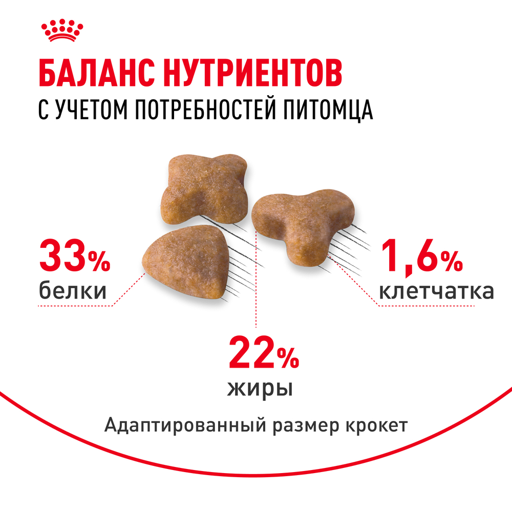 Royal Canin Sensible 33 Корм сухой сбалансированный для взрослых кошек с чувствительной пищеварительной системой - 0,4 кг