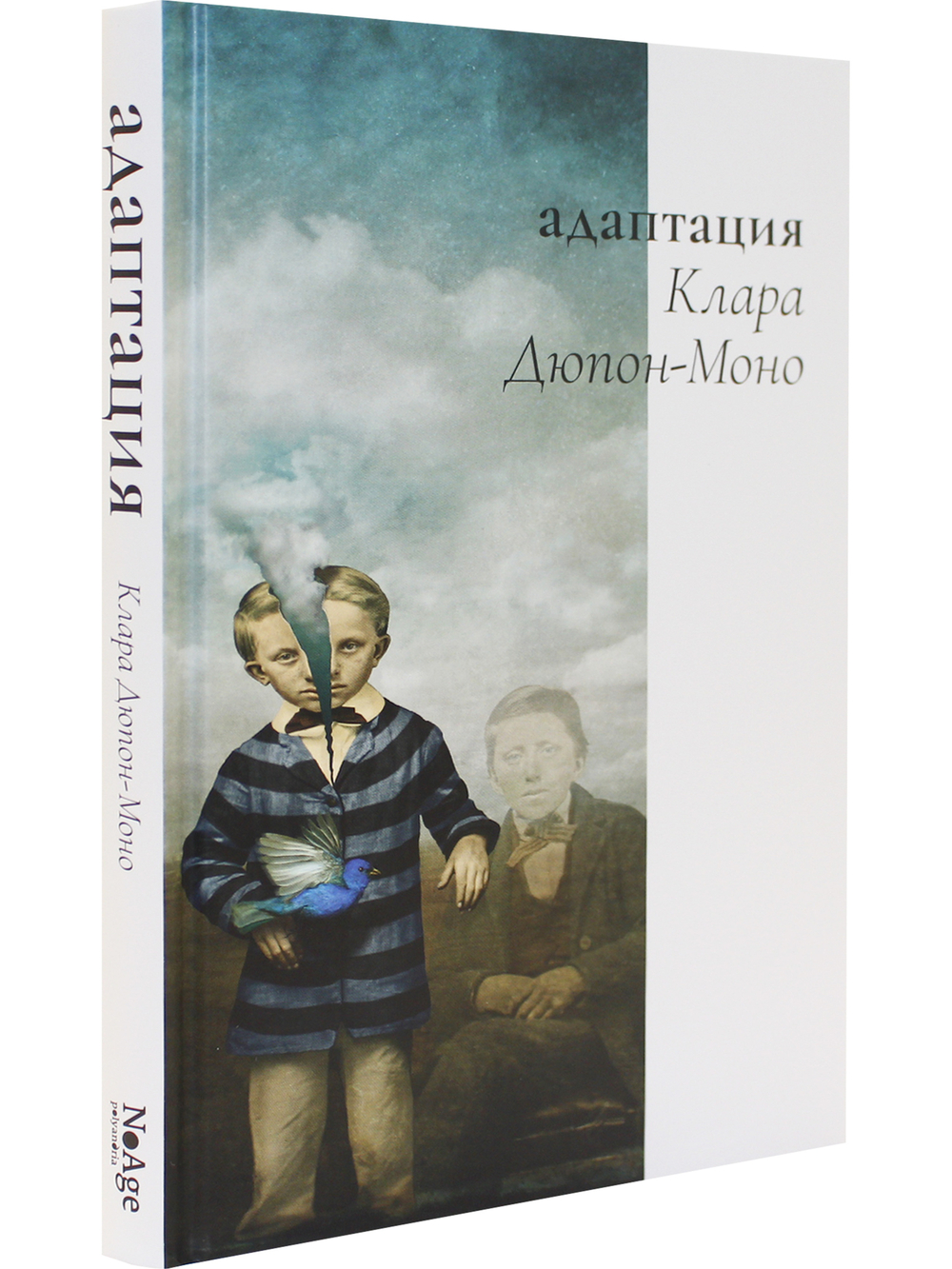 Адаптация