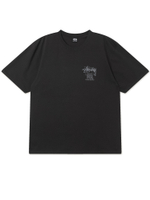 Мужская Футболка Basic Stussy Pig. Dyed