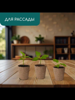 Горшок для рассады, 100 мл, d 6 см, h 6.5 см, торф, Greengo