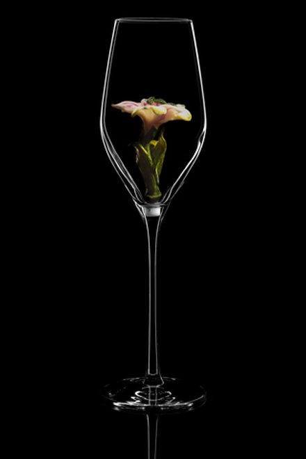 Бокал для шампанского Флюте. / Альстромерия. Роспись.