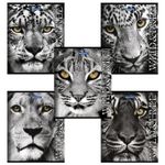 Тетрадь А5, 48 л., BRAUBERG ЭКО, клетка, обложка картон, ДИКИЕ И СВОБОДНЫЕ, 401810, 5шт