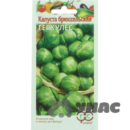Капуста брюссельская Геркулес Гавриш