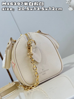 Louis Vuitton Speedy 20