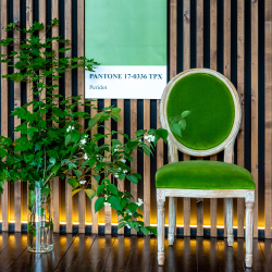 Стул Луи - Медовая горчица бархат белый жемчуг Объект мечты