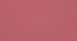 Атлас Kiwi (Киви) 30