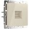 Розетка Ethernet RJ-45 Werkel слоновая кость W1181003 4690389155857