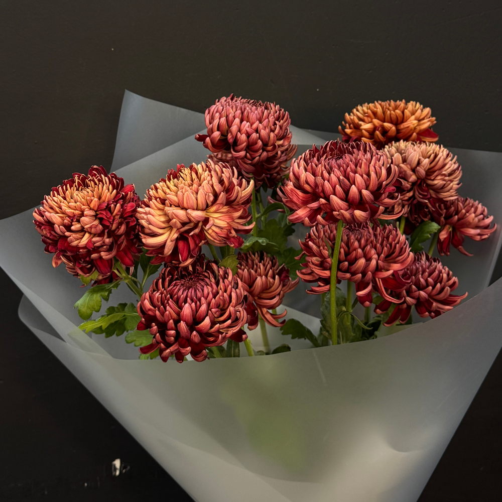 Монобукет из 13 хризантем бигуди