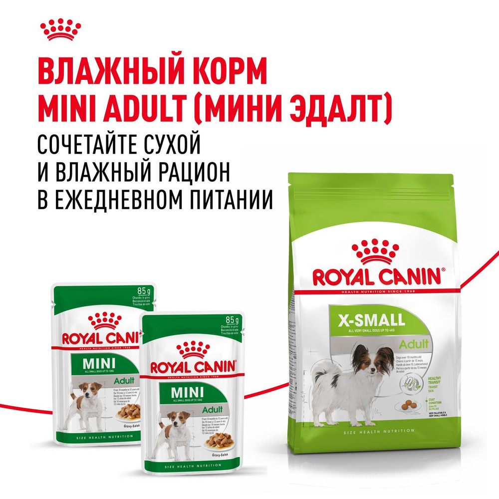 Royal Canin X-Small Adult Корм сухой для взрослых собак очень мелких размеров от 10 месяцев 1,5 кг