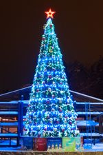 Уличная гирлянда «Пояс ориона» для елок от 4 до 30 м