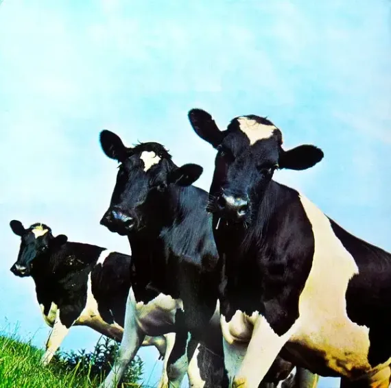 Pink Floyd - Atom Heart Mother