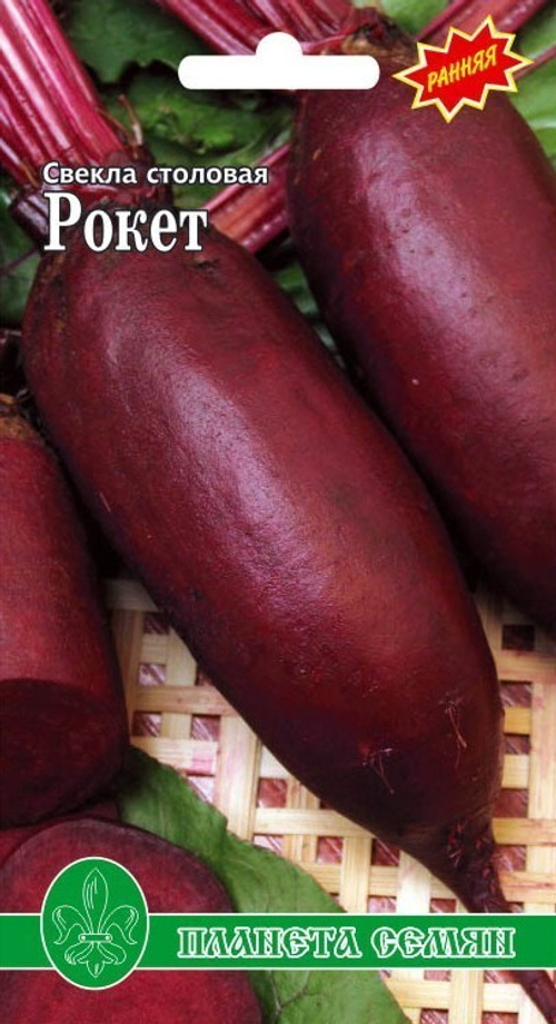 Свекла столовая Рокет