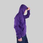  Толстовка мужская Carhartt WIP Hooded Chase Sweatshirt артикул:I033661_tyrian - купить в магазине Дайс
