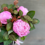 ♛ Композиция ароматных пионов — d ~ 18 см