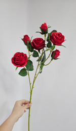 Роза кустовая / Арт 2280