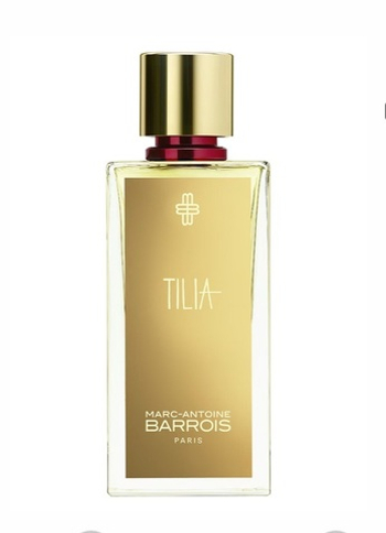 Tilia Marc-Antoine Barrois