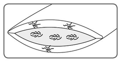 Подушка трехкамерная 50х70 Christian Fischbacher Wengen 8016 Medium